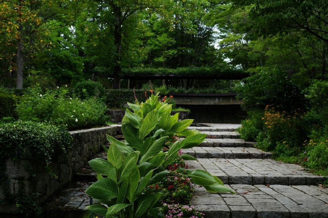 みどり庭園 13