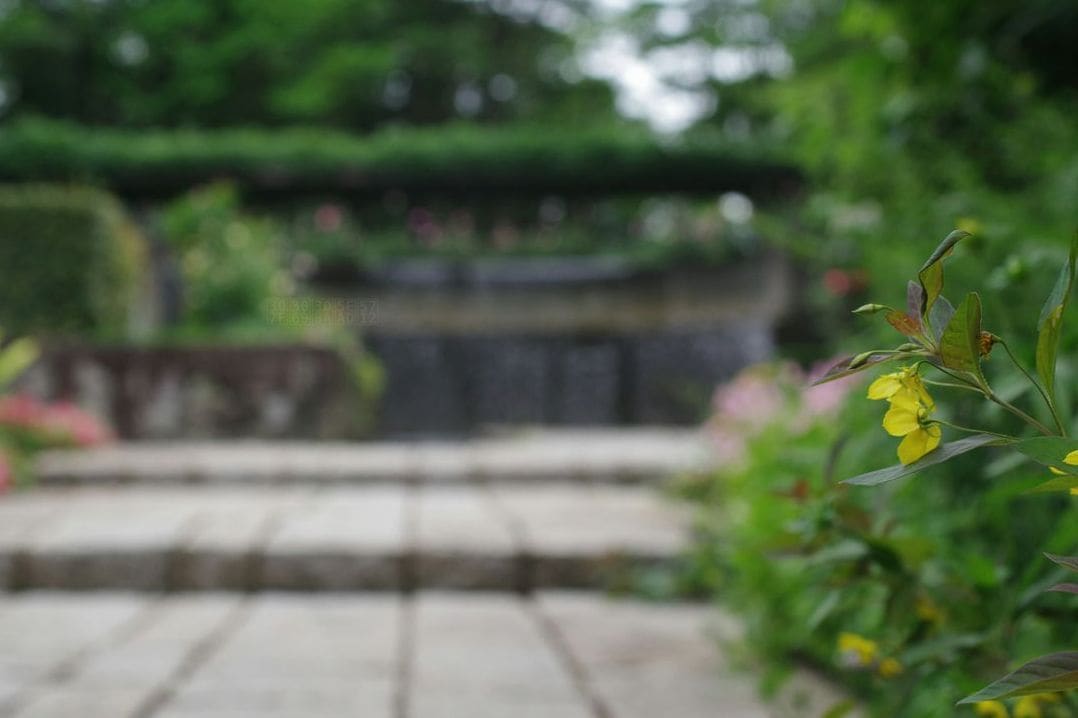 みどり庭園 4